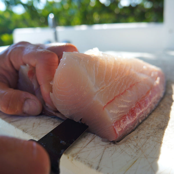 Wahoo Fishing Tackle For Your Charter