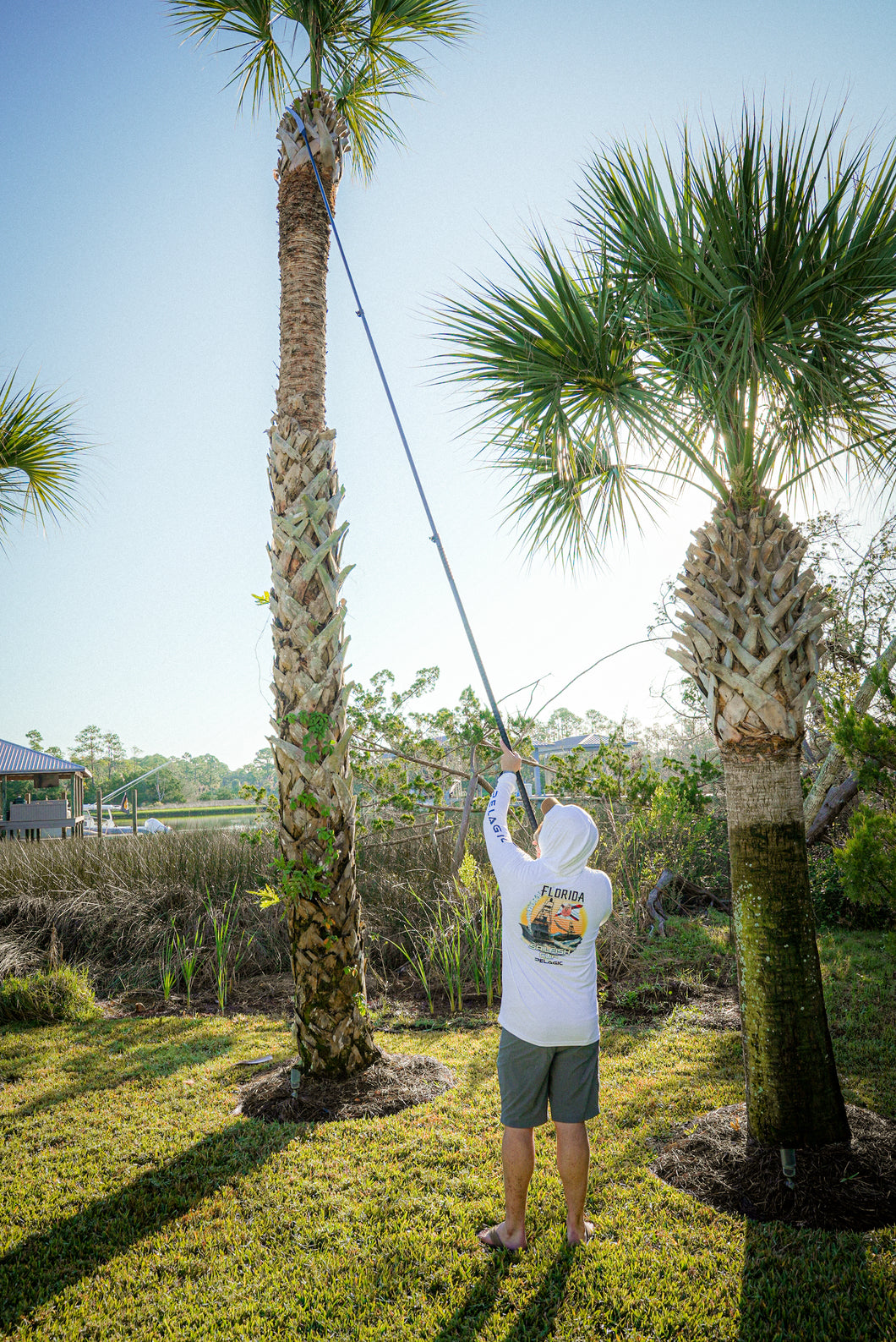 18' Telescoping Carbon FIber Pole Saw